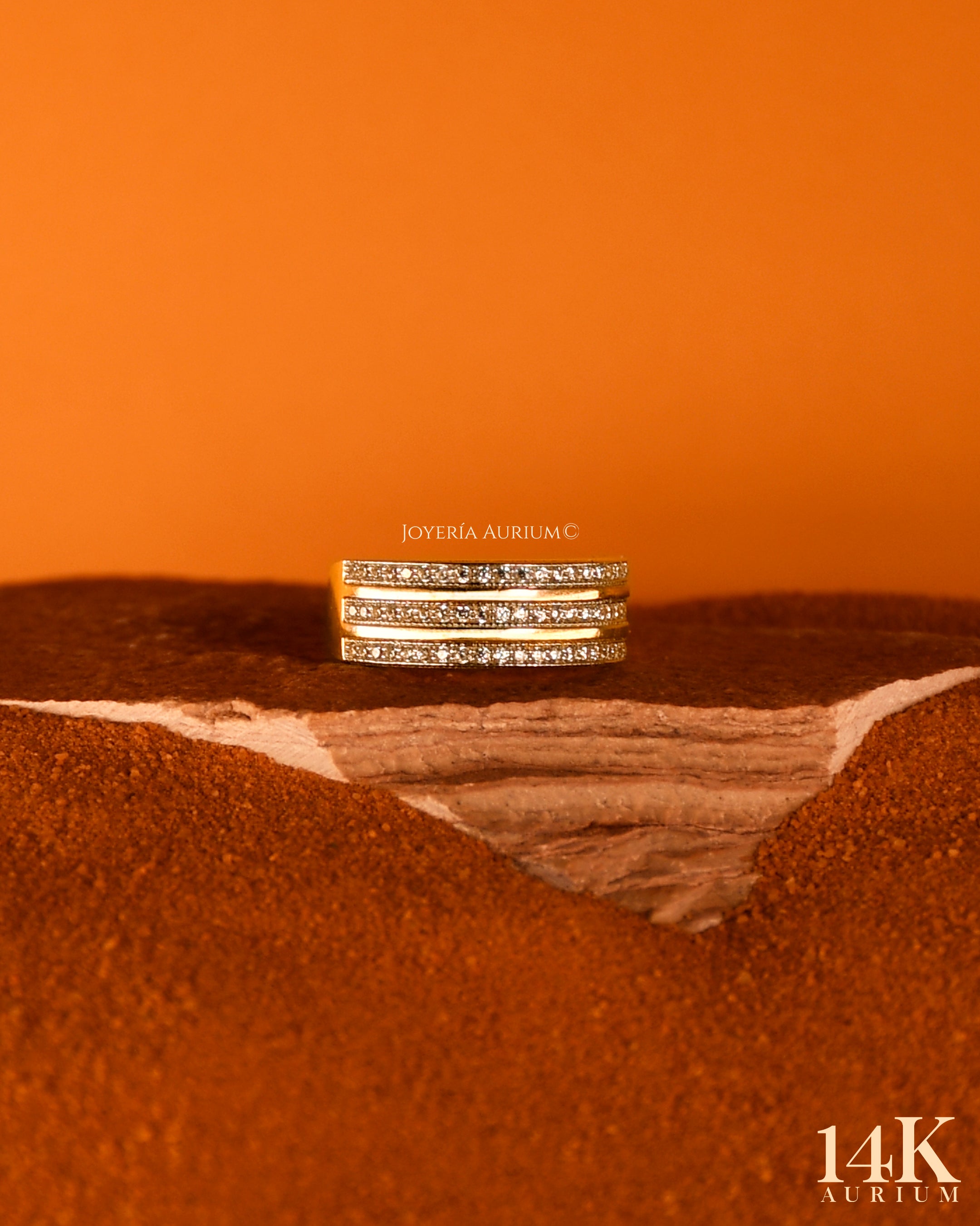 Anillo Otoño