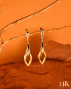 Aretes Especiales