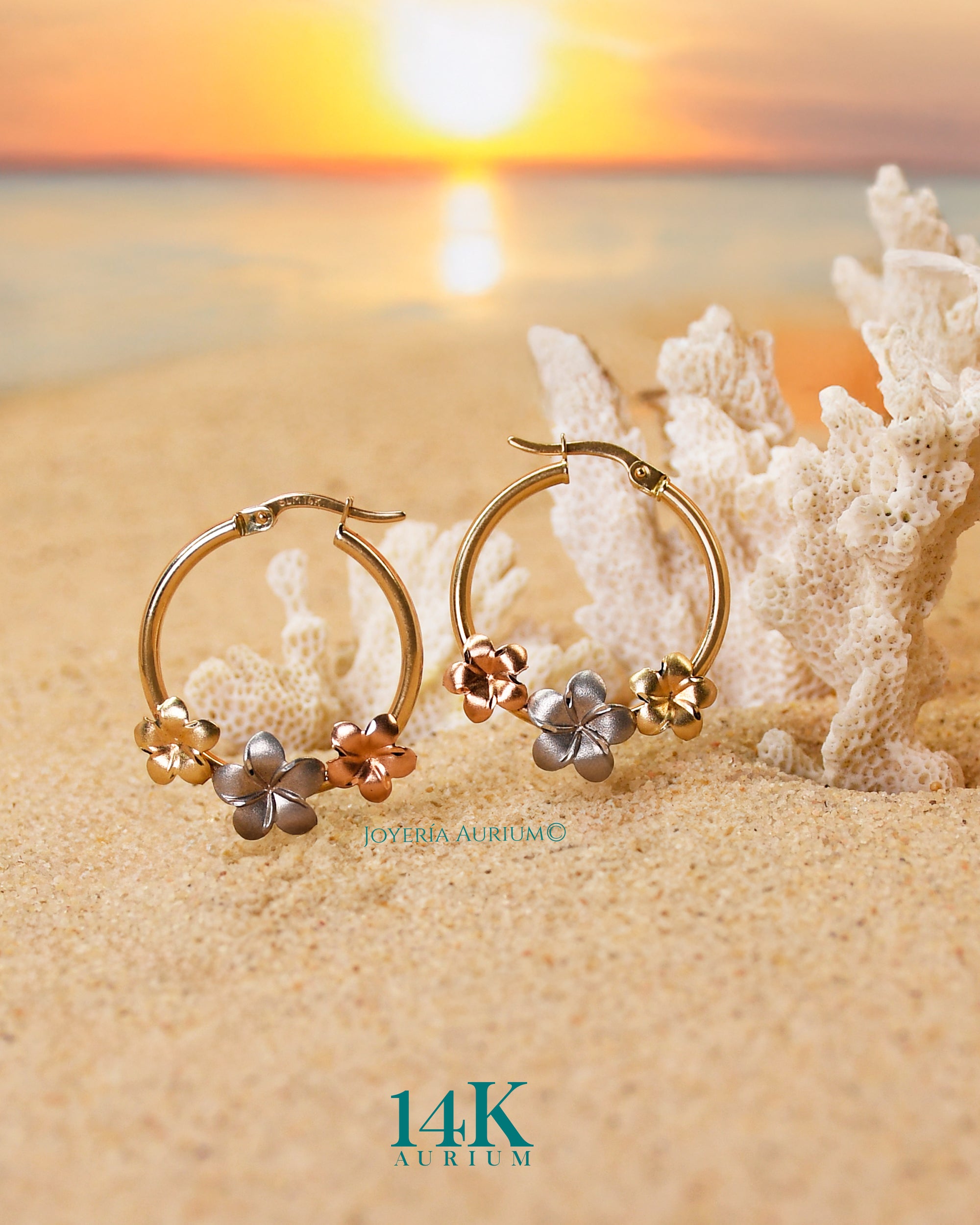 Arracadas 14K