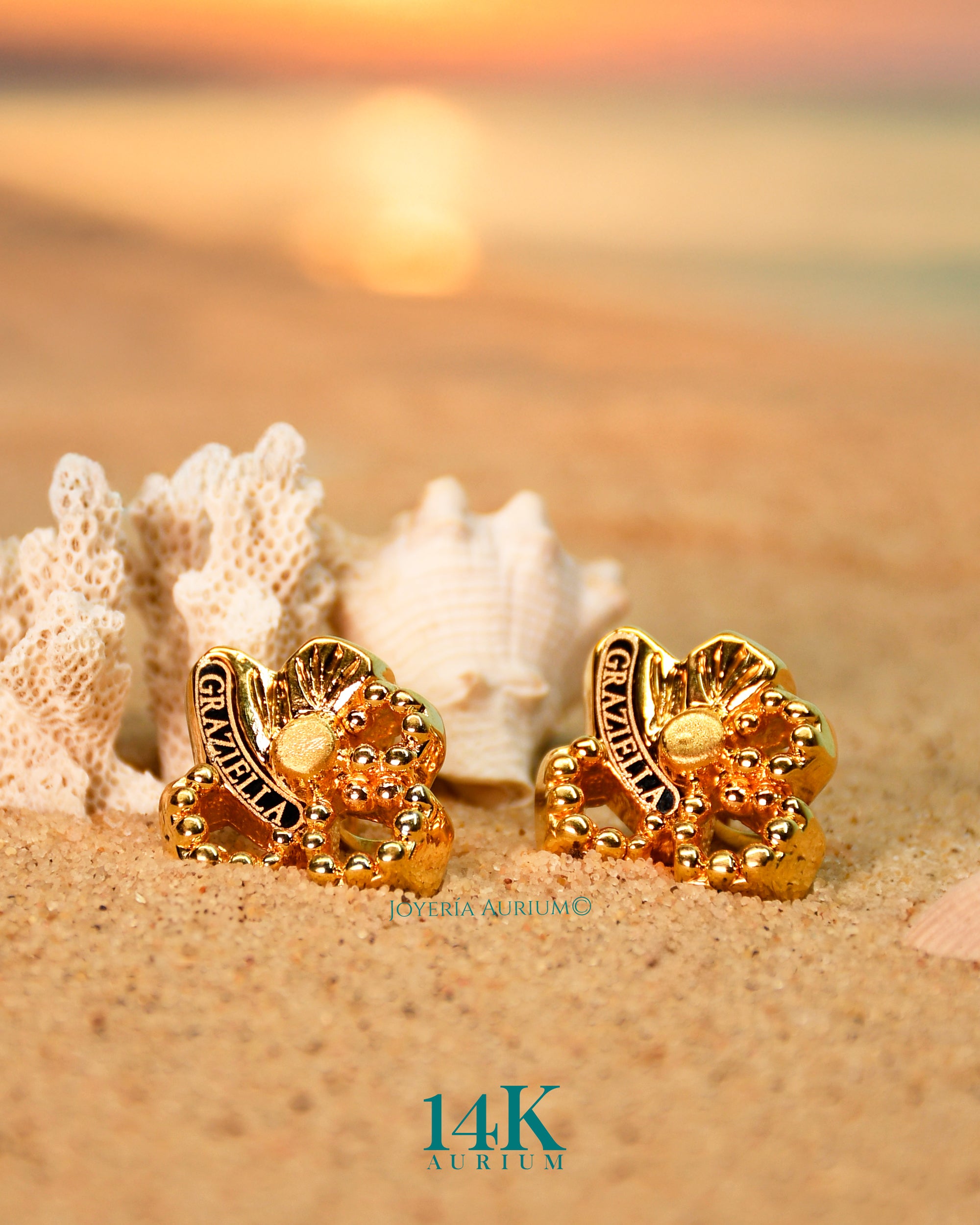 Aretes 14K