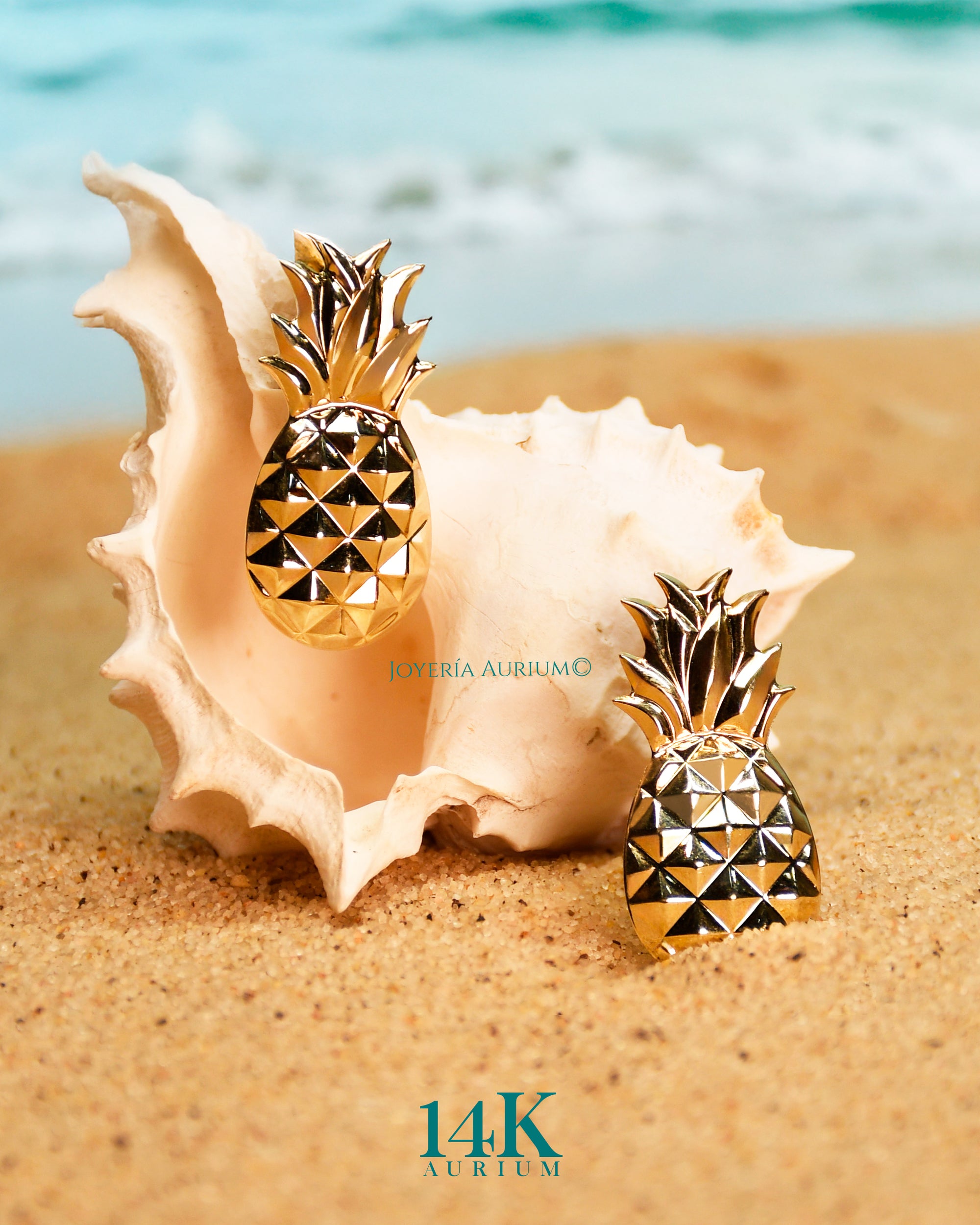 Aretes 14K